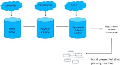 Vancomycin Containing PDLLA and PLGA/β-TCP Inhibit Biofilm Formation but Do Not Stimulate Osteogenic Transformation of Human Mesenchymal Stem Cells